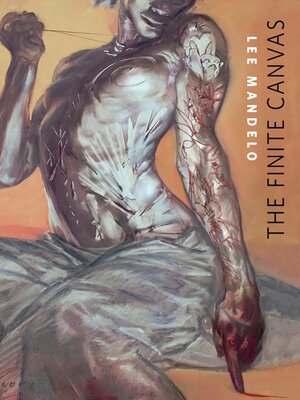 cover image of The Finite Canvas